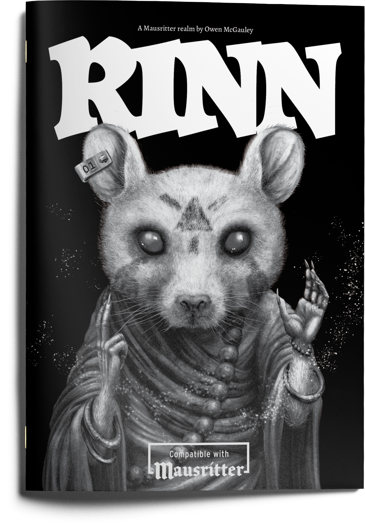 Cover of the Rinn zine